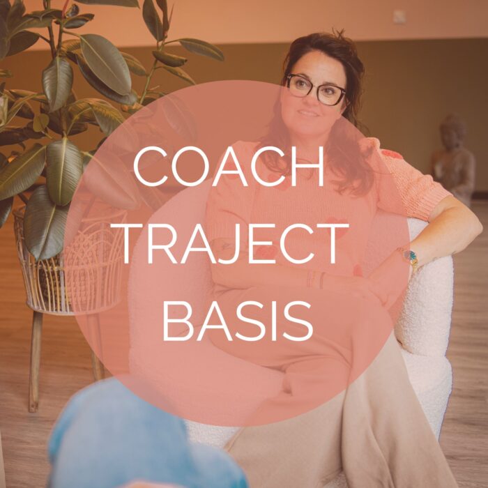 Coach Traject basis