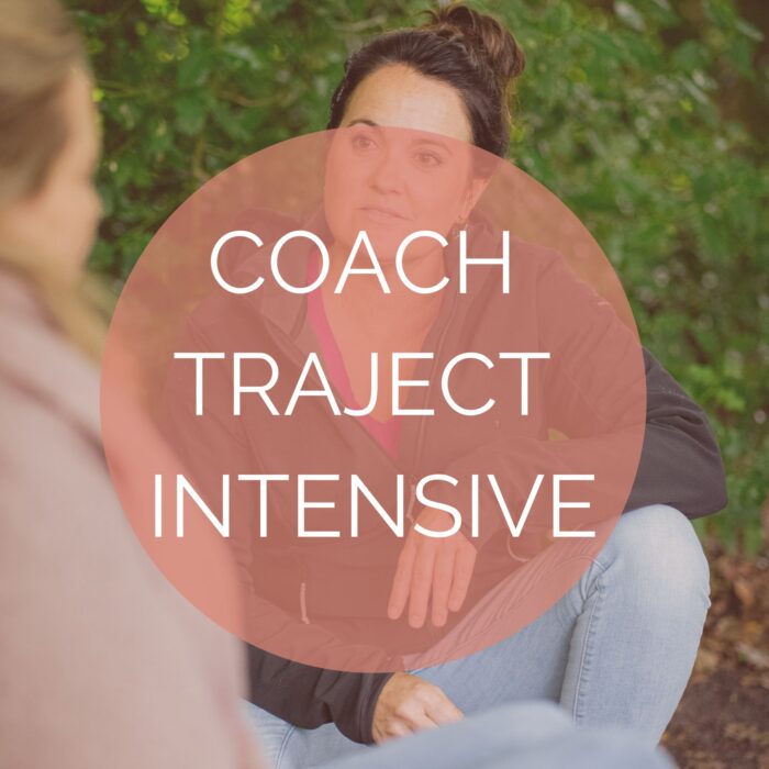 Coach Traject 4 maanden intensive