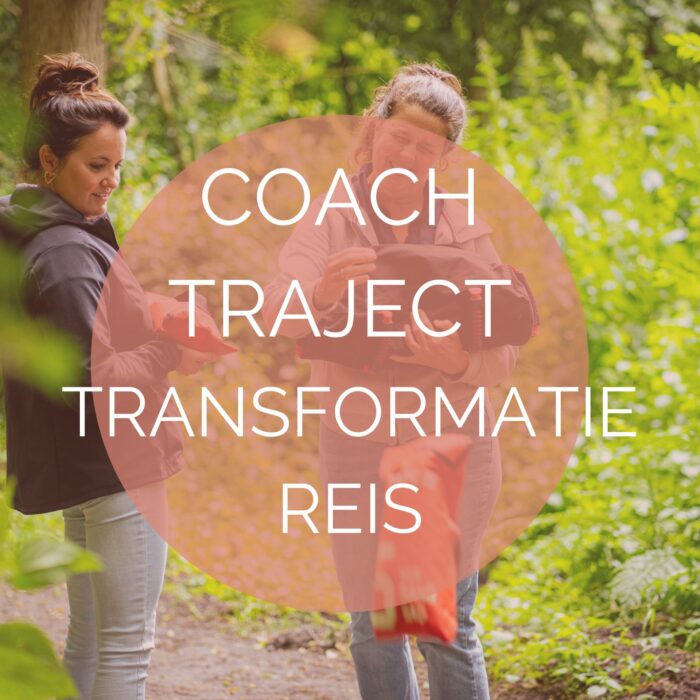 Coach Traject Transformatie Reis 6 maanden